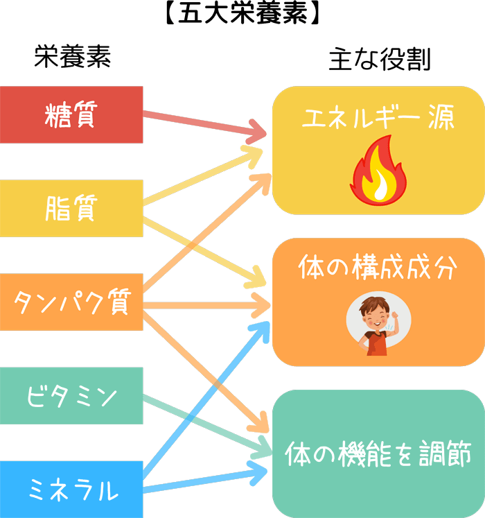 五大栄養素の図