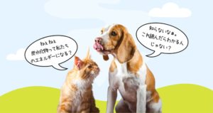 イヌ・ネコ・ヒトに共通のエネルギー源：ブドウ糖 - よし！ゴハンにしよう。micky