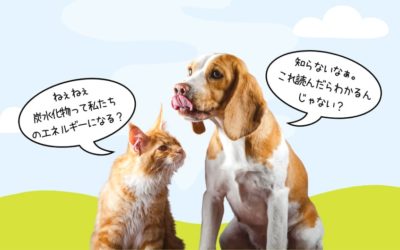 動物が生きるために必要なエネルギー:ブドウ糖