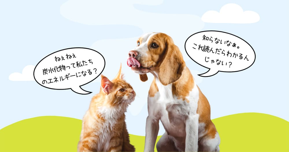 イヌ・ネコ・ヒトに共通のエネルギー源：ブドウ糖 - よし！ゴハンにしよう。micky