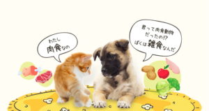 イヌは雑食・ネコは肉食 栄養学の視点から考えてみよう - よし！ゴハンにしよう。