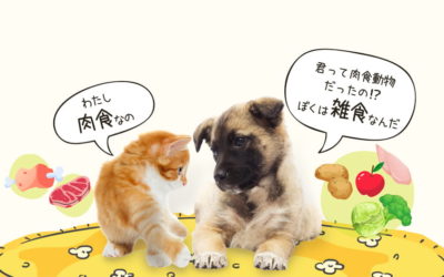 犬は雑食・猫は肉食 さらに詳しく!