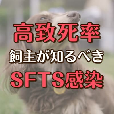高致死率飼主が知るべきSFTS感染