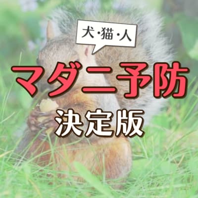 犬・猫・人のマダニ予防決定版