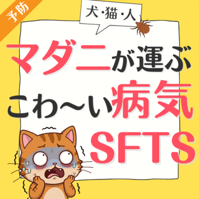 マダニが運ぶこわい病気SFTS（犬・猫・人）