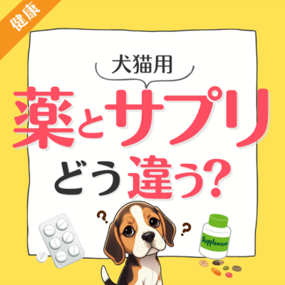 犬・猫用薬とサプリどう違う？