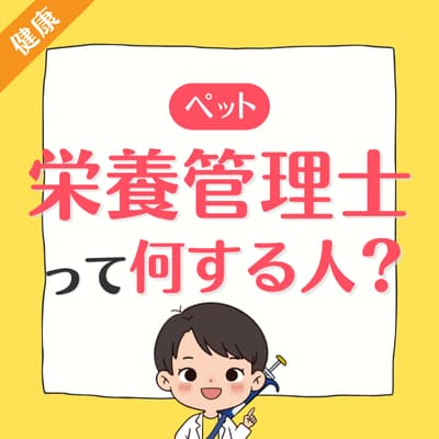 @rin.bellu ペット栄養管理士